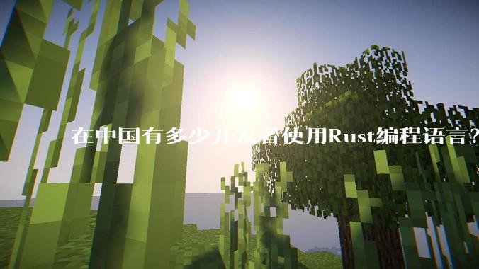 在中国有多少开发者使用Rust编程语言？