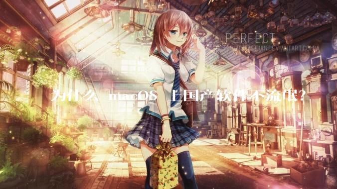 为什么 macOS 上国产软件不流氓？