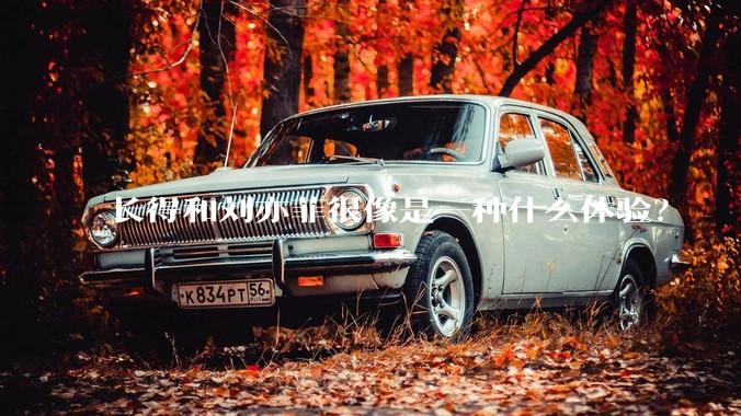 长得和刘亦菲很像是一种什么体验？