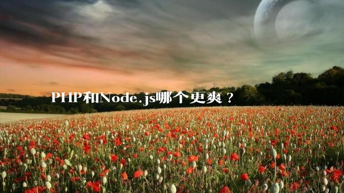 PHP和Node.js哪个更爽?