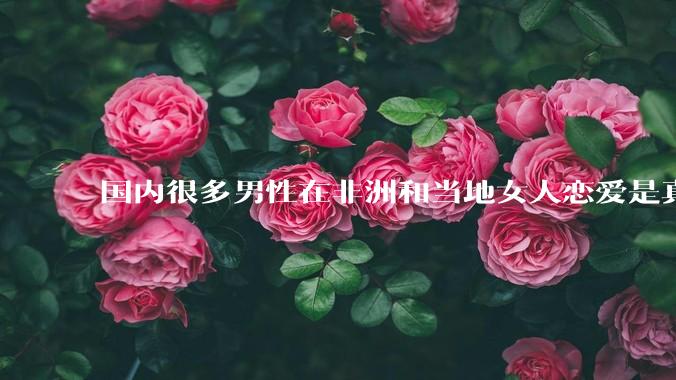 国内很多男性在非洲和当地女人恋爱是真的吗?