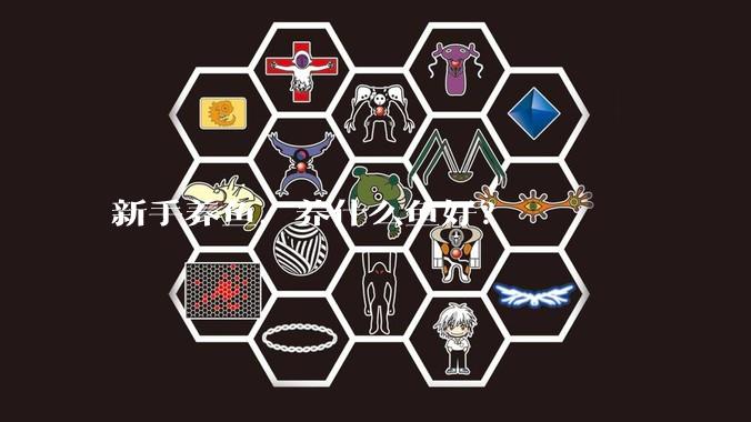 新手养鱼，养什么鱼好？