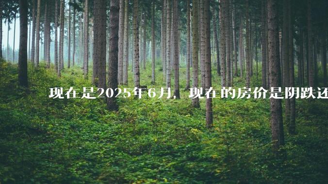 现在是2025年6月，现在的房价是阴跌还是暴跌？还会继续跌多久？是否已经开始分化?