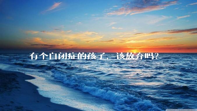 有个自闭症的孩子，该放弃吗？