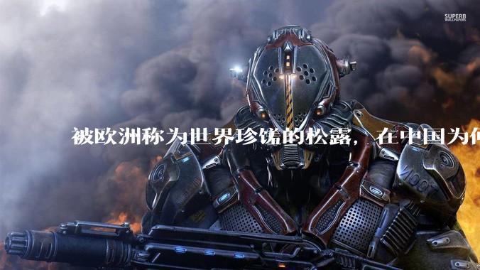 被欧洲称为世界珍馐的松露，在中国为何是母猪挚爱的「猪拱菌」？