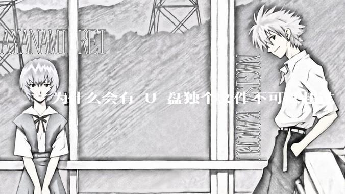 为什么会有 U 盘独个文件不可以超过 4GB 这种设定？