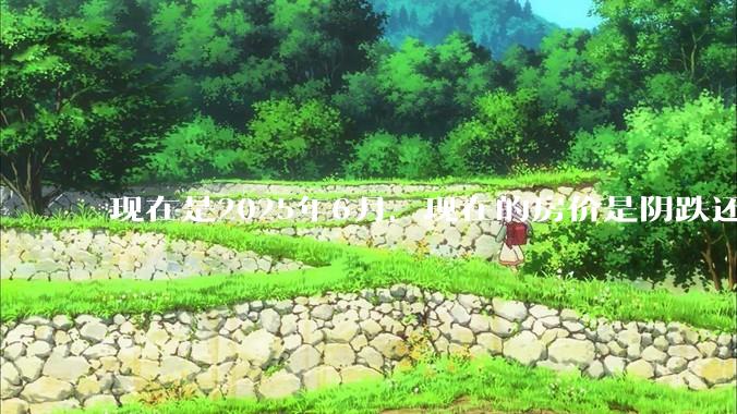 现在是2025年6月，现在的房价是阴跌还是暴跌？还会继续跌多久？是否已经开始分化?