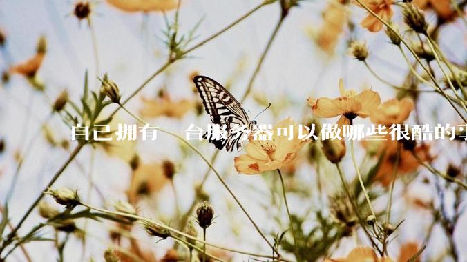 自己拥有一台服务器可以做哪些很酷的事情？