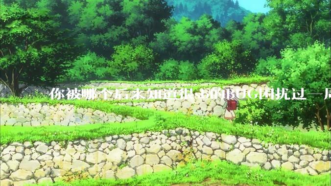 你被哪个后来知道很sb的BUG困扰过一周以上吗？