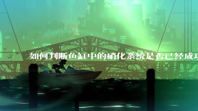 如何判断鱼缸中的硝化系统是否已经成功建立？